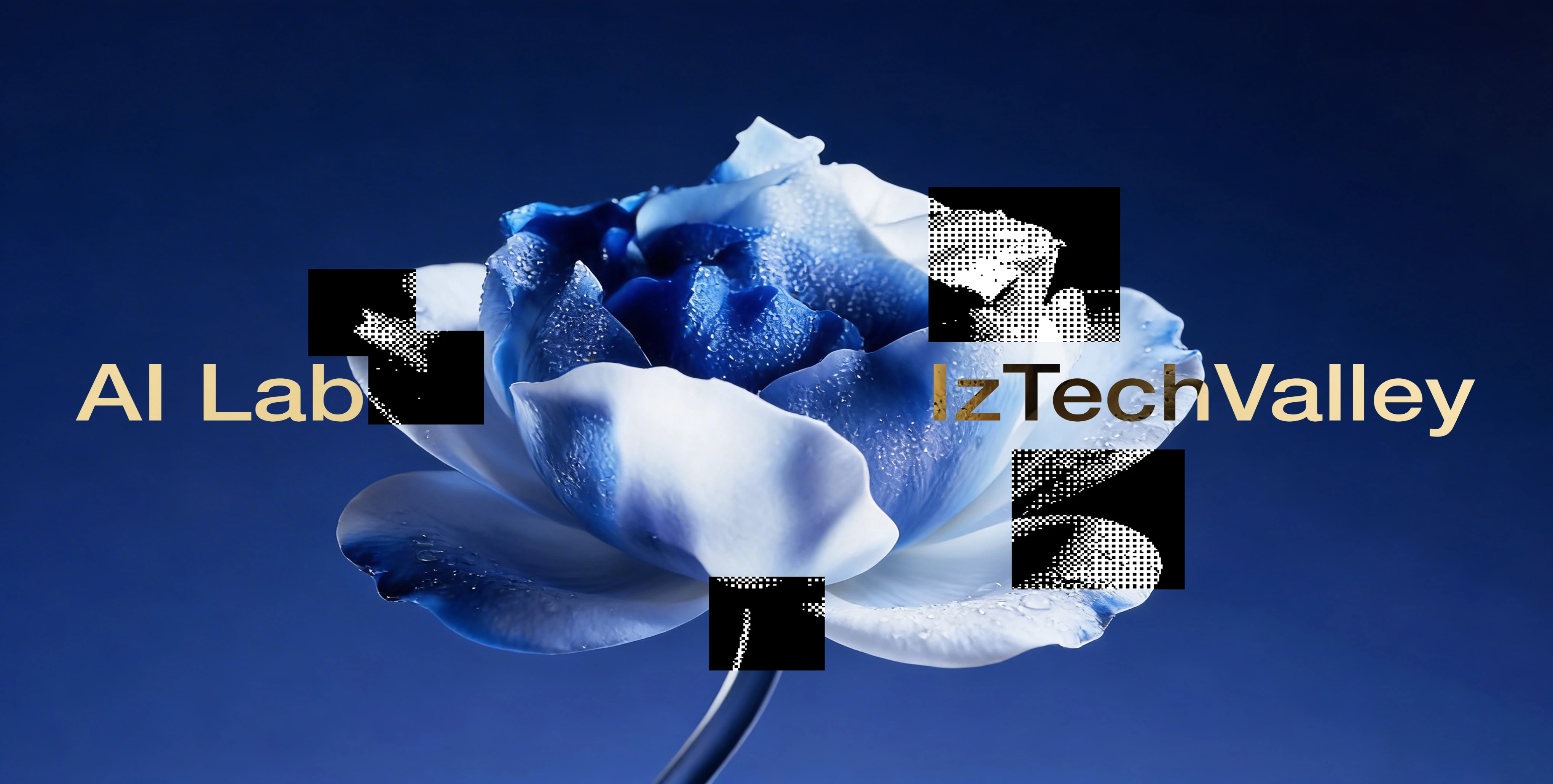 IzTechValley team moment